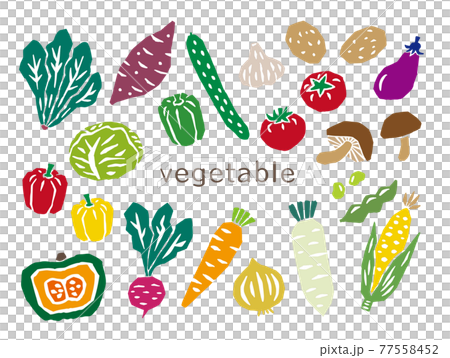 野菜 レトロなイラストセット 野菜 レトロなイラストセット 77558452
