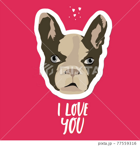 French Bulldog Head Isolated On Red Background のイラスト素材