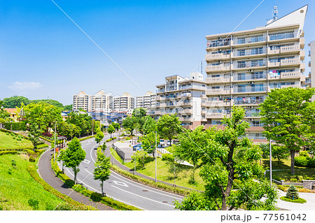 青空が広がる郊外の住宅地　多摩ニュータウン 77561042