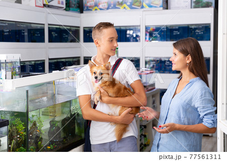 female and boy discuss the purchase of aquarium fish 77561311