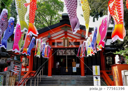 東京都板橋区熊野町 熊野神社 東京都板橋区熊野町 熊野神社 77561396