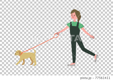 Illustration of a girl walking a dog Illustration of a girl walking a dog 77561411