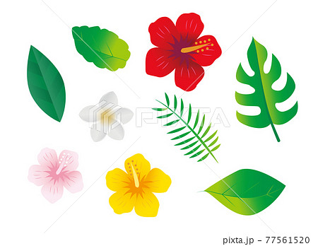 keypoint clipart of flowers