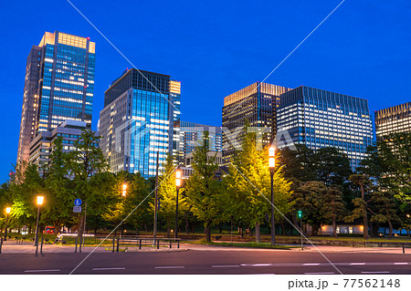 《東京都》東京駅・新緑の行幸通りの夜景 《東京都》東京駅・新緑の行幸通りの夜景 77562148