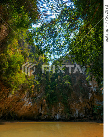 ジャングルの中のラグーン (ライレイ、クラビ県、タイ王国) 77562933