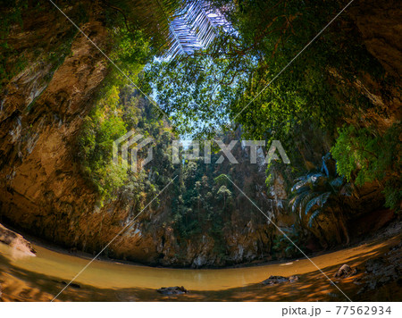 ジャングルの中のラグーン (ライレイ、クラビ県、タイ王国) ジャングルの中のラグーン (ライレイ、クラビ県、タイ王国) 77562934