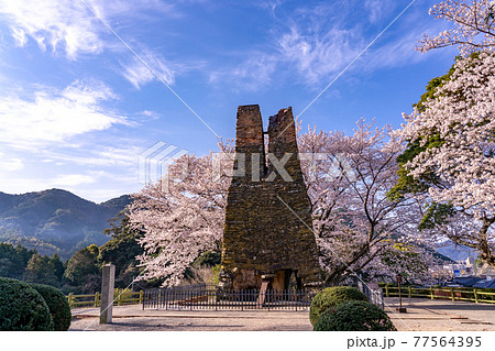山口県萩市　満開の桜をバックの萩反射炉 77564395