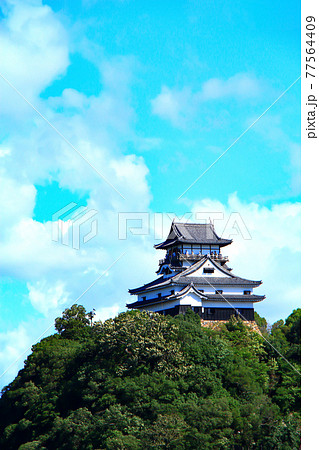 犬山市、山の頂上に建つ犬山城の風景 77564409