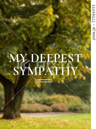 Digitally generated image of sympathy concept text against tree in the park Digitally generated image of sympathy concept text against tree in the park 77564555