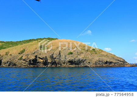 海 海岸 灯台 77564958