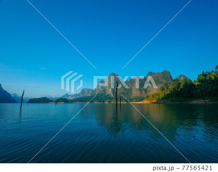 朽ち木が点在する朝の静かな湖 カオソック国立公園 スラタニ県 タイ王国 の写真素材
