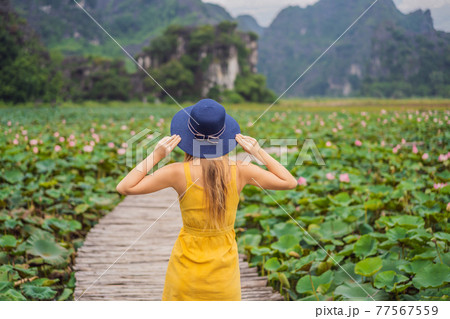 Young woman in a yellow dress on the path among the lotus lake. Mua Cave, Ninh Binh, Vietnam. Vietnam reopens after quarantine Coronovirus COVID 19 concept Young woman in a yellow dress on the path among the lotus lake. Mua Cave, Ninh Binh, Vietnam. Vietnam reopens after quarantine Coronovirus COVID 19 concept 77567559