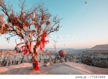 Balloons in Cappadocia Balloons in Cappadocia 77567689
