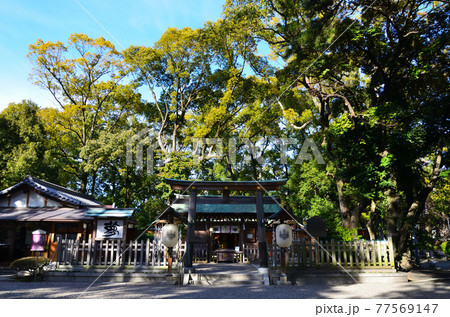 豊国神社の本殿と神門:名古屋 豊国神社の本殿と神門:名古屋 77569147
