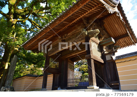 太宰府天満宮 延寿王院の山門:福岡 太宰府天満宮 延寿王院の山門:福岡 77569179
