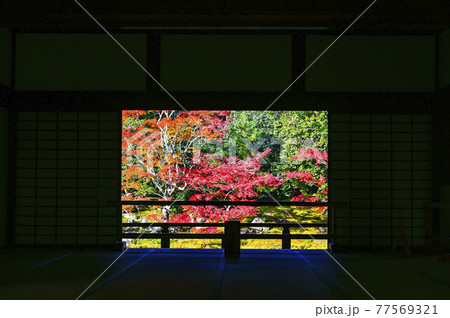 京都、天龍寺の紅葉 77569321