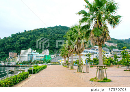 【静岡】秋の熱海 ヤシの木が並ぶ親水公園スカイデッキ 【静岡】秋の熱海 ヤシの木が並ぶ親水公園スカイデッキ 77570703
