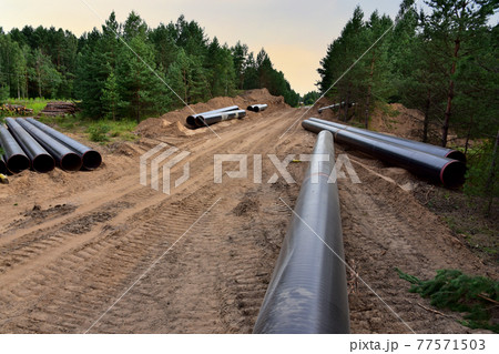 Pipes for natural gas pipeline project. Oil and gas pipelines.  77571503