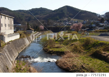 北上川:苗代沢橋にて(下流側) 北上川:苗代沢橋にて(下流側) 77572291