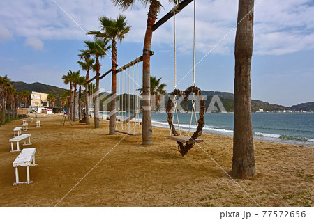 福岡県　糸島　ヤシの木のブランコ 77572656