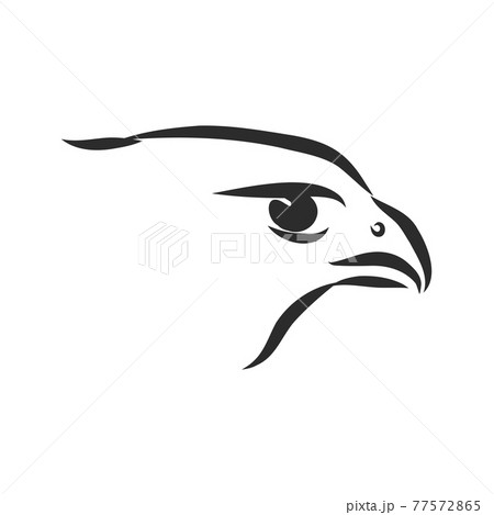 Black and white illustration. Sketch of bird for tattoo art. Detailed hand drawn eagle for tattoo on back. Falcon bird, vector sketch 77572865
