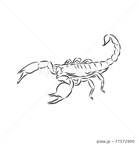Realistic Scorpion Tattoo  Steemit