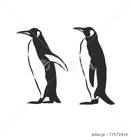 Hand Drawing Penguins Vector Illustration のイラスト素材