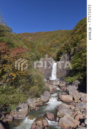 雲一つ無い真っ青な秋の空、妙高高原日本滝百選の苗名滝を撮る 77573355