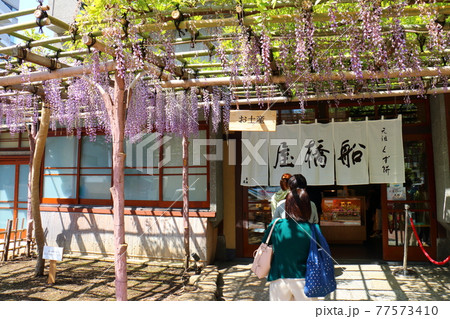 東京都江東区亀戸の船橋屋くず餅 藤まつり 東京都江東区亀戸の船橋屋くず餅 藤まつり 77573410