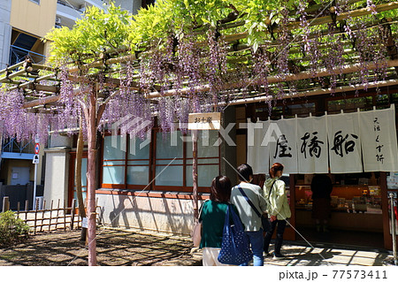 東京都江東区亀戸の船橋屋くず餅 藤まつり 東京都江東区亀戸の船橋屋くず餅 藤まつり 77573411
