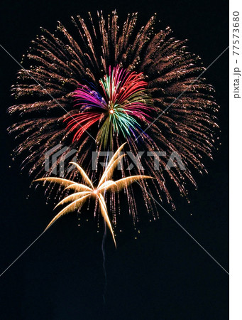 夏の夜空を照らす花火 77573680
