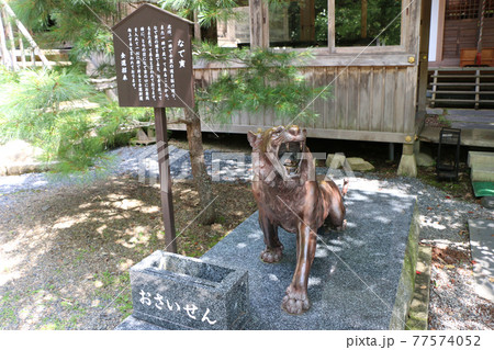 登米市柳津虚空蔵のなで寅 77574052