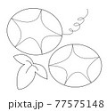 朝顔_線画 77575148