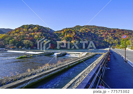 秋の嵐山、渡月橋からの景色　 77575302