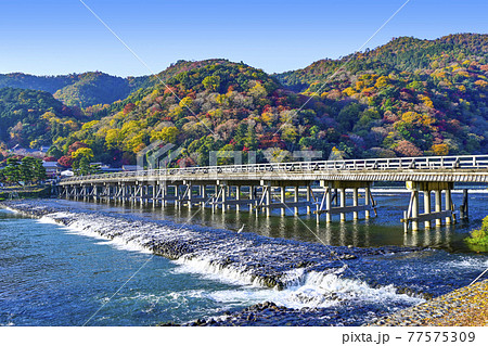 秋の嵐山、渡月橋 77575309