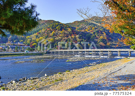 秋の嵐山、渡月橋 秋の嵐山、渡月橋 77575324