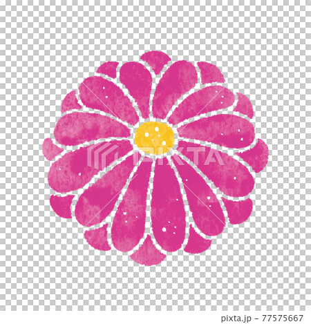 菊の花 ピンク スタンプ ハンコのイラスト素材