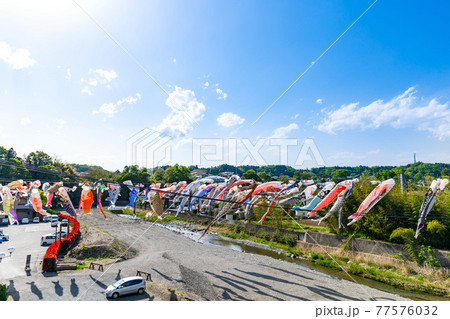 埼玉県横瀬町 横瀬鯉のぼり祭と青空 埼玉県横瀬町 横瀬鯉のぼり祭と青空 77576032