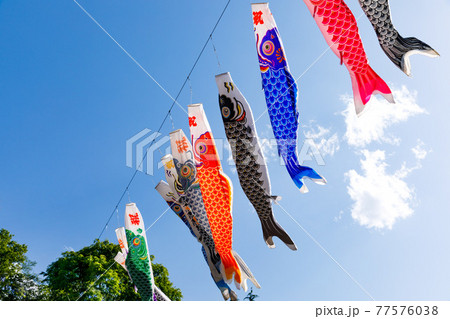 埼玉県横瀬町 横瀬鯉のぼり祭と青空 埼玉県横瀬町 横瀬鯉のぼり祭と青空 77576038