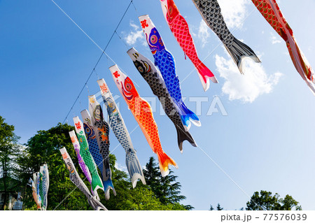 埼玉県横瀬町 横瀬鯉のぼり祭と青空 埼玉県横瀬町 横瀬鯉のぼり祭と青空 77576039