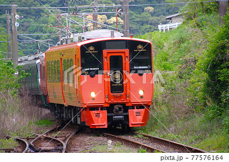 ハウステンボス/みどり 77576164