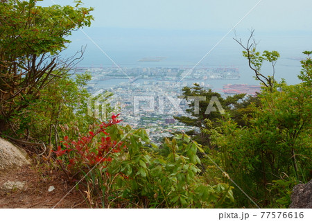 六甲山・景色 六甲山・景色 77576616