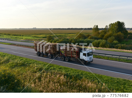 Timber truck transporting cut trees from forest along highway. Transport raw timber Timber truck transporting cut trees from forest along highway. Transport raw timber 77576682