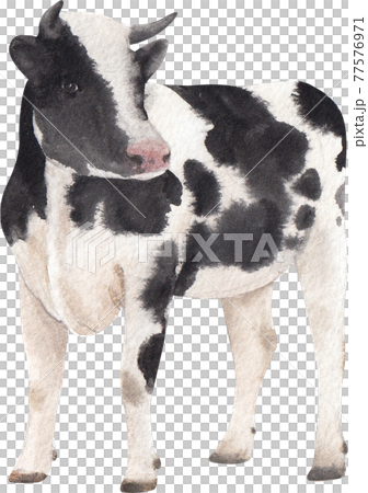 World Milk Day concept element watercolor World Milk Day concept element watercolor 77576971