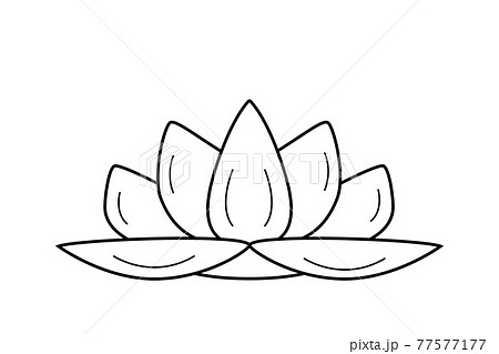 Lotus lily flower. Vector illustration of a lotus outline isolated on white. Lotus lily flower. Vector illustration of a lotus outline isolated on white. 77577177