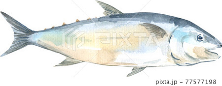 Fishing camp and decor element watercolor Fishing camp and decor element watercolor 77577198