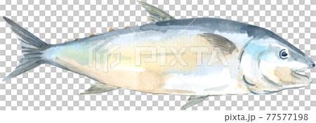 Fishing camp and decor element watercolor Fishing camp and decor element watercolor 77577198