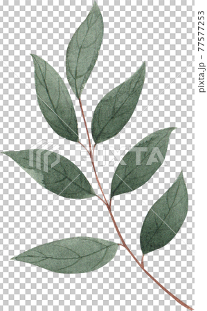 Flowers and landscape decor watercolor Flowers and landscape decor watercolor 77577253