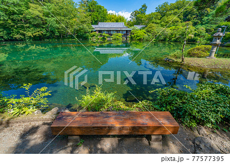 楽寿園    小浜池 【静岡県　三島市】 77577395