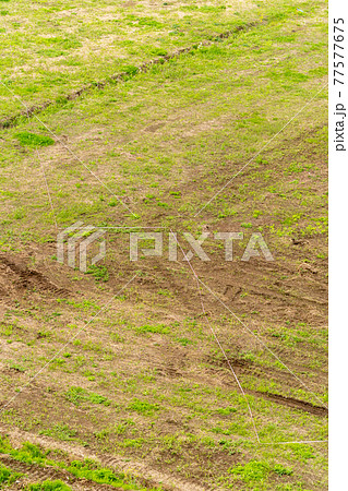 縄張り 建築工事 着工前 縄張り 建築工事 着工前 77577675